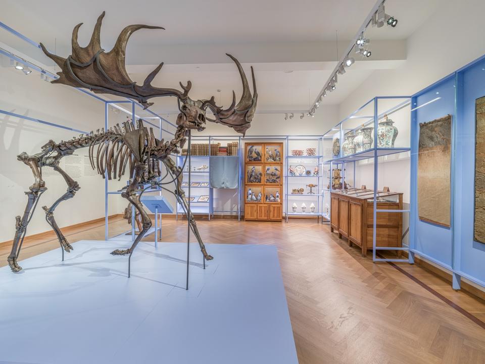 M_Leuven_13_groot.jpeg M_Leuven_13_groot.jpeg