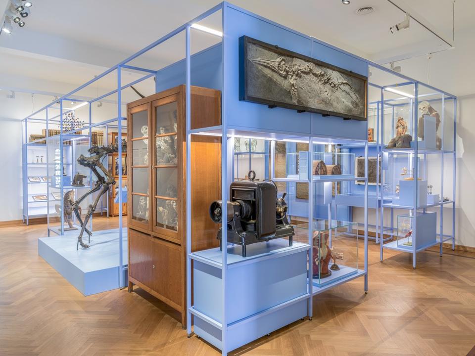 M_Leuven_10_groot.jpeg M_Leuven_10_groot.jpeg