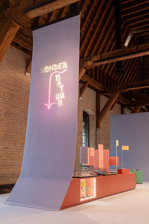 Exponanza_Ypermuseum_wonderland28.jpg Exponanza_Ypermuseum_wonderland28.jpg